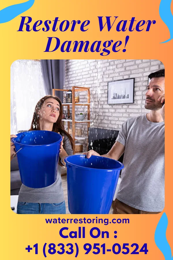 water restoration Pinnacle Restoration Solutions Company Sheldahl
